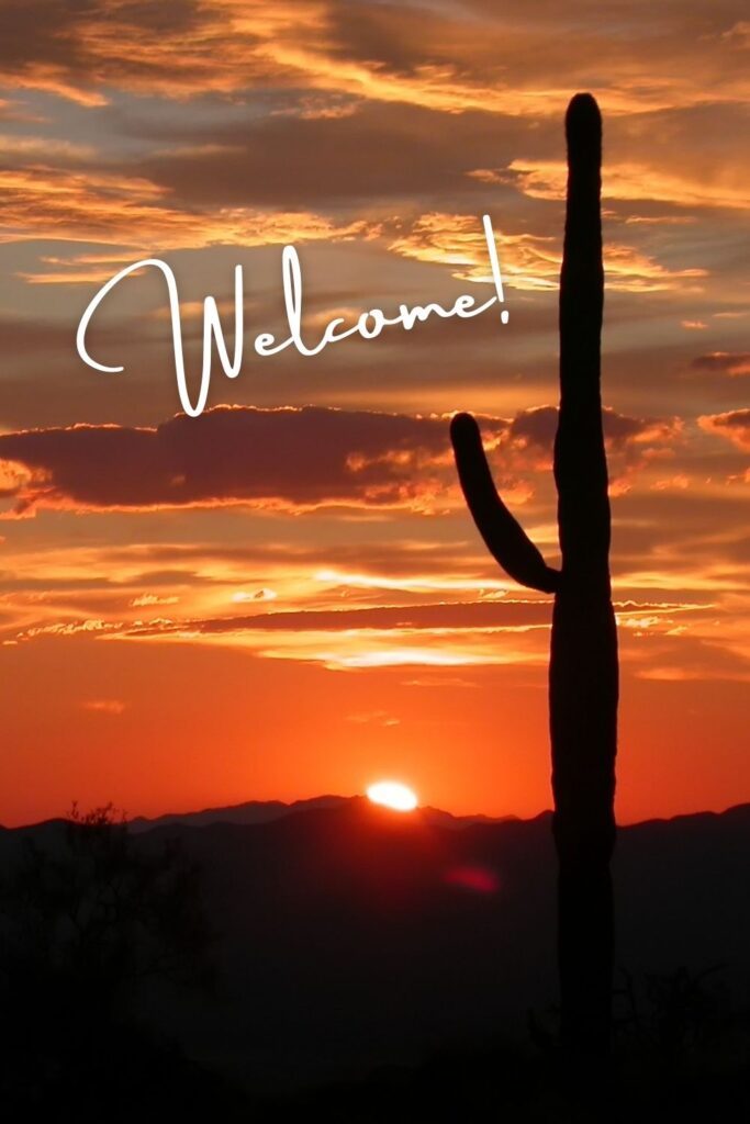 Desert sunset with cactus and welcome written across the top.