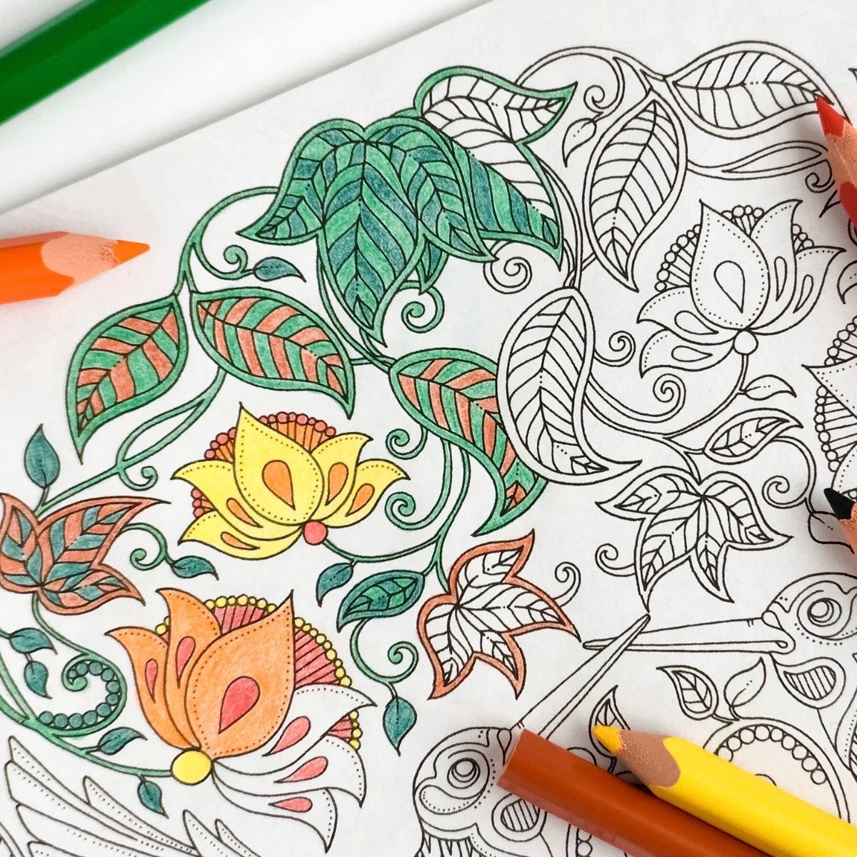 The Benefits of Adult Coloring
