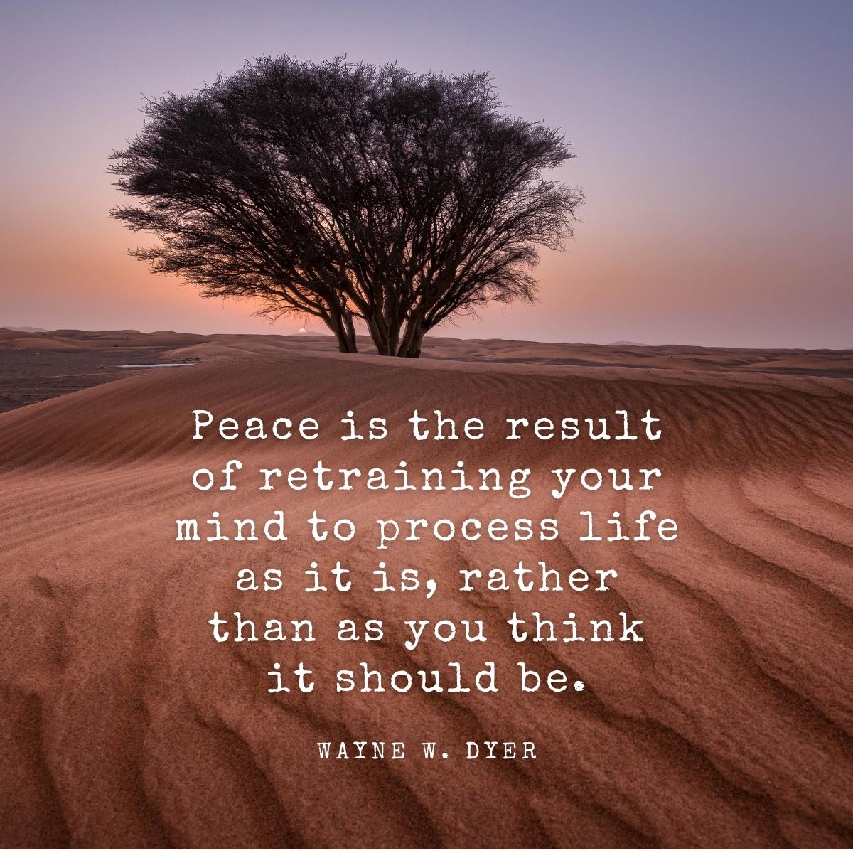 Retraining your mind for inner peace quote. 
